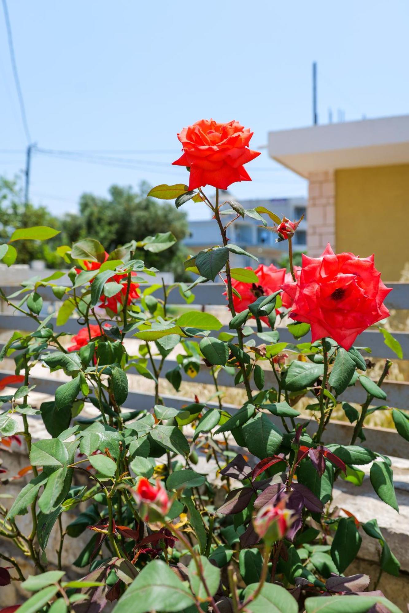 Vila Leka Ksamil Exterior foto